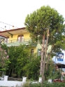 Hotel, Koycegiz Turkey